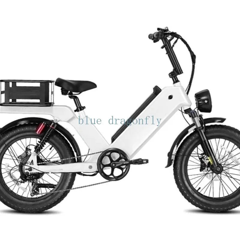 Folding 1000W 48V Electric Bike