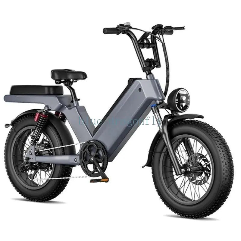 Folding 1000W 48V Electric Bike