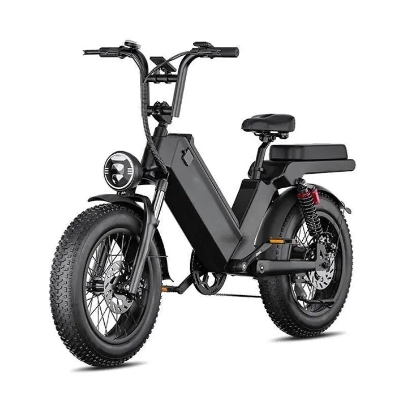 Folding 1000W 48V Electric Bike