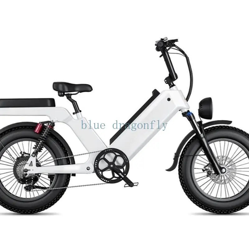 Folding 1000W 48V Electric Bike